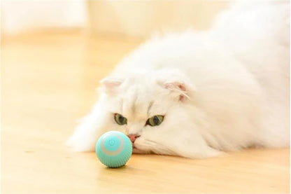 Smart Cat Ball Toys – MSCE-COMMERCE